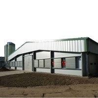 Système de reproduction automatisé Structure métallique Grange pour l'élevage de volailles Stable-Vache Porc Poulet Chèvre Hangar Ferme Ferme Ferme Écurie
