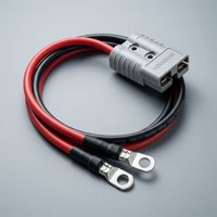 Kabel Pengisian Daya EV Daya Tinggi 22kw dan Harness Kabel Tipe 2 GB/T dan CCS2 untuk Stasiun Pengisian Cepat Level 2 dan DC