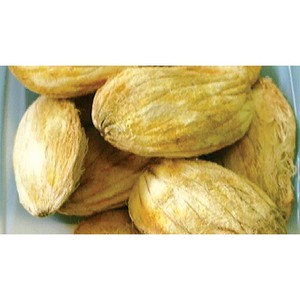 Manufacturer of Mango Fruits from India - Product Image 1