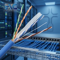 Câble Réseau Intérieur UTP CAT6 BC 4 Paires 23AWG 24AWG Haut Débit Gigabit 100m PVC Prix Usine