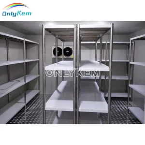 Mini Cold Room Chiller Room For Meat And Fish With PU Panel