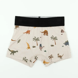 Caleçons en coton pour enfants à motif dessin animé, vente chaude en usine, sous-vêtements pour garçons, caleçons pour enfants, Calcinha Infantil - Product Image 4