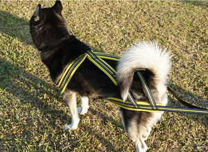 Siberian Husky Harness Lengan Panjang, Rompi Tarik Reflektif Tugas Berat, Harness Anjing LED Lembut Balap X Belakang - Product Image 6