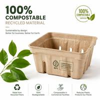 Conteneur en carton kraft brun écologique jetable pour fruits de la ferme 95x95x43mm – Transporteur de baies