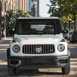 <span class=keywords><strong>Voiture</strong></span> électrique Falcon la plus vendue, 5 portes, 5 places, moteur 3500W, autonomie 101-200km, pour adultes et familles - Product Image 4