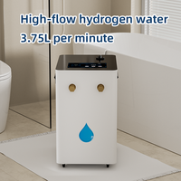 Machine à Bain d'Hydrogène Compacte : Profitez d'une Hydratation et d'une Relaxation de Niveau SPA à Domicile, Bain de Pieds à l'Hydrogène et à l'Oxygène, Utilisation Domestique, Beauté