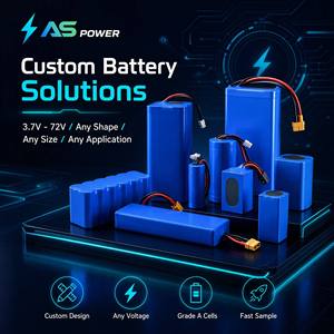 Pack de batteries au lithium personnalisé OEM, toutes tailles, tensions et capacités 3,7V-72V pour drone, aspirateur, outil électrique, robot médical, appareil IoT - Product Image 1