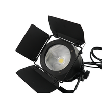 200W COB LED Par Light Étanche IP65 Blanc Chaud Public Blinder Projecteurs pour Parcs À Thème