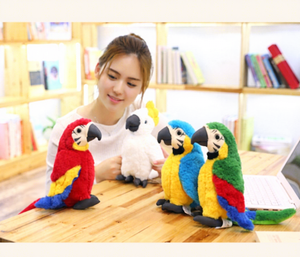 Jouet musical en peluche canard souple souvenir d'anniversaire, adorable poupée en peluche personnalisée, jouet original, cadeau d'anime pour amis, jouet <span class=keywords><strong>cactus</strong></span> - Product Image 5