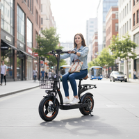 Achats/Livraison Pratiques pour Trottinettes Électriques avec Batterie au Lithium Haute Vitesse, Contrôle par Application Électronique, Cadre en Alliage d'Aluminium