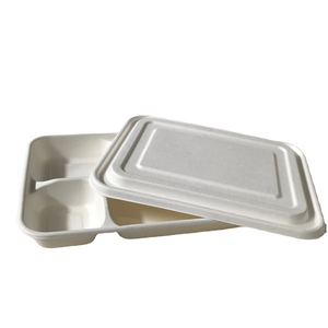 Chất lượng cao thân thiện với môi đầy màu sắc bã mía container được thiết kế phân hủy sinh học mía Bộ đồ ăn giấy tấm container thực phẩm - Product Image 5