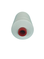 Couleur blanche de qualité supérieure 40S/2 500g 100% fil à coudre filé en polyester