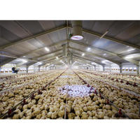 Bâtiment préfabriqué pour élevage de volailles / poulailler / ferme avicole