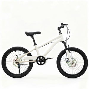 Bicicleta Infantil de 20 Pulgadas, Una Velocidad, Cuadro de Acero, Freno de Disco, Sillín Ajustable, Bicicleta Juvenil para Paseos al Aire Libre - Product Image 1