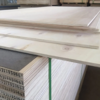    Offres Spéciales : Panneaux de Contreplaqué Stratifié Commercial en Bois de Tilleul et Bouleau, 3mm, 6mm, 9mm, 18mm, 4x8, pour Meubles, Revêtements de Planchers de Train et Cloisons
