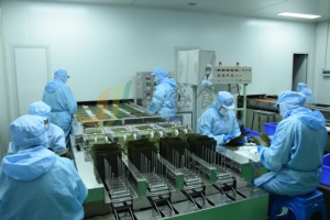 طحالب نوري عضوية محمصة مجففة بالجملة من الدرجة A/B/C، حجم كامل 100/50 ورقة - Product Image 4