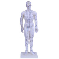 Modèle d'acupuncture 50CM Homme Hôpital École de médecine Enseignement Modèle anatomique d'acupuncture