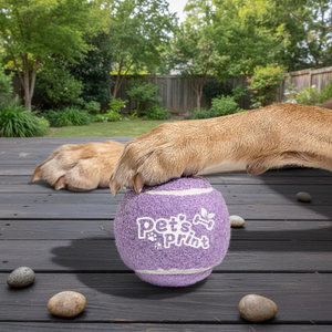 ของเล่นลูกเทนนิสสำหรับสุนัขและ<span class=keywords><strong>แมว</strong></span> ทำจากยางและกำมะหยี่ รูปทรงเหมือนจริง ใช้งานได้หลากหลาย เหมาะสำหรับฝึกฝน เป็นมิตรกับสิ่งแวดล้อม พร้อมสกรีนโลโก้ตามสั่ง เหมาะสำหรับแจกเป็นของขวัญ - Product Image 4