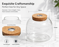 Terrarium en verre borosilicate transparent avec couvercle en liège pour plantes succulentes, mousse, hydroponie et petit aquarium - Décoration de bureau