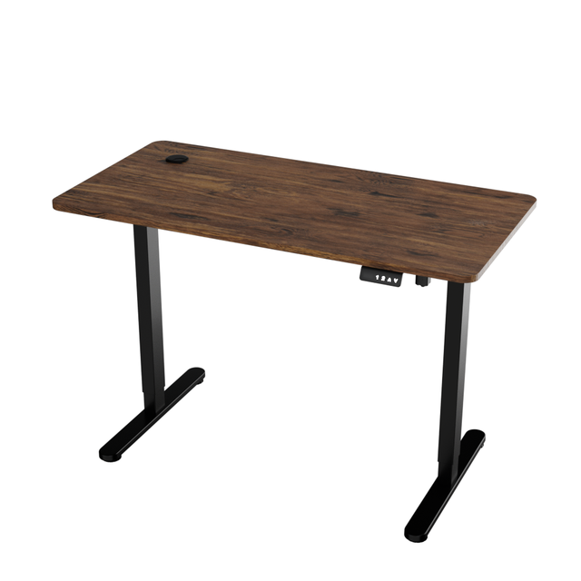 China New Office and Home Multifunctional Single Motor Electric Desk with Adjustable Height