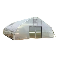 Nouvelle Arrivée Grande Serre Agricole Monocouche Préfabriquée en Film PE Transparent Ensemble Complet Structure Stable pour