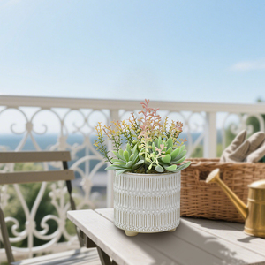 Planta Suculenta Artificial de Plástico con Maceta - <span class=keywords><strong>Cactus</strong></span> Artificial para Decoración de Escritorio en Casa, Regalo al por Mayor para Cumpleaños y Graduación - Product Image 4