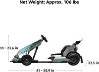 2024 Segway Ninebot Original Go Kart Pro 2 mit 432Wh Akku, 43km/h Höchstgeschwindigkeit, 4800W Leistung und 100KG Zuladung – Großhandel Elektro Go Kart