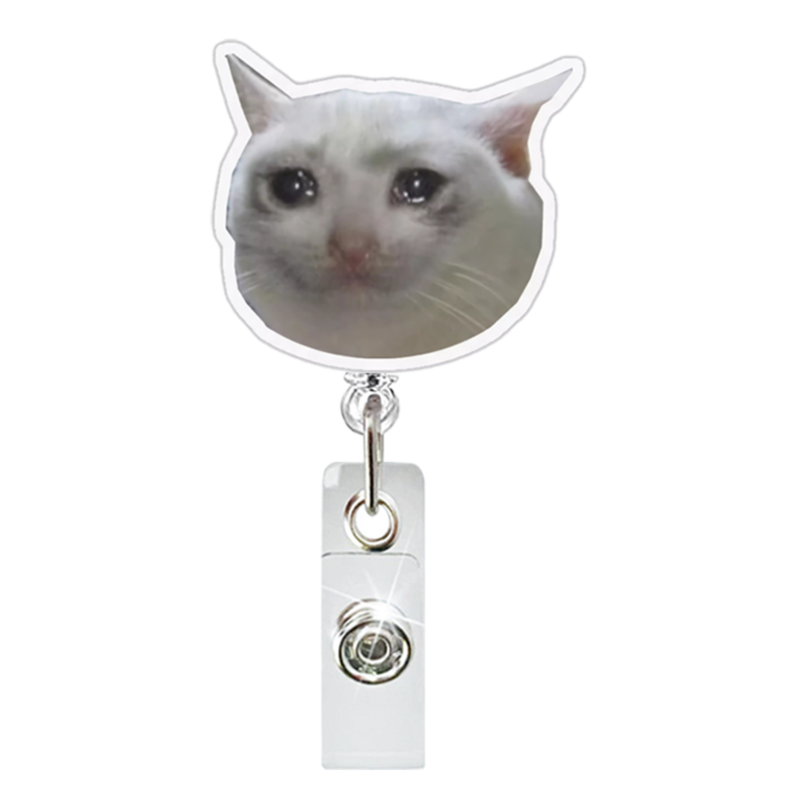 Chaton pleurer