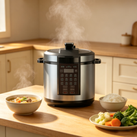 Cuisinière à pression électrique multifonctionnelle de haute qualité 6L, programme de cuisson à une touche, cuiseur à riz électrique à pression, fourniture d'usine