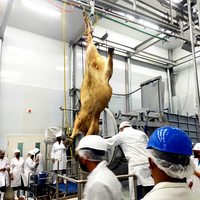 Équipement d'abattage de bétail pour abattoir, ligne de rail de guidage pour l'abattage, à vendre