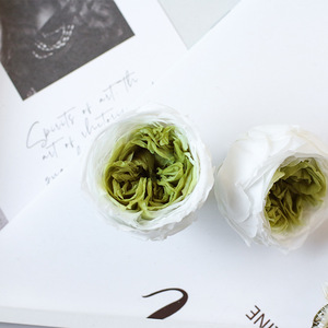 ดอกกุหลาบออสตินคุณภาพสูง ขนาด 4-5 ซม. ดอกไม้แห้งแบบคงรูปทรง ตัดสดใหม่ - Product Image 6