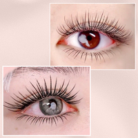 Extensions de cils individuels de qualité supérieure, noirs mats, souples, à double pointe, forme ellipse, pour la vente en gros aux fournisseurs de salons