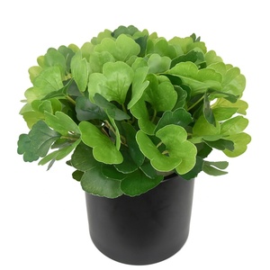 Feuillage artificiel, brins de <span class=keywords><strong>Ginkgo</strong></span> <span class=keywords><strong>biloba</strong></span> verts pour la décoration intérieure, les arrangements en pot et les murs végétaux - Product Image 1
