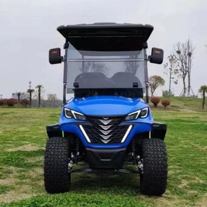 2 + 2 4 plazas Gas Club Car Golf Cart Off Road motor <span class=keywords><strong>de</strong></span> combustible 250 300cc Buggy <span class=keywords><strong>de</strong></span> velocidad rápida - Product Image 4