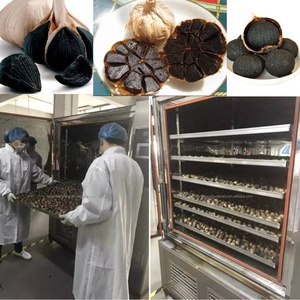 Mejor Precio JUYOUMECH Máquina Fermentadora de Ajo Negro Fermentado por Motor 3.5kW Capacidad 20kg/h - Product Image 3