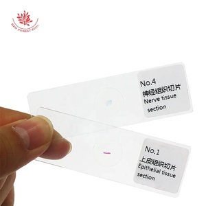 Mô học Slide 4 cái cơ bản của con người mô thủy tinh quang học phân phối y tế giảng dạy Trung Quốc và tiếng anh song ngữ nhãn - Product Image 6