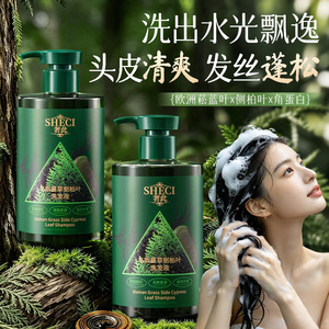 Champú Sheci Usmann Grass Platycladus Orientalis 500ml Control de Grasa Herbal para Cabello Graso - Product Image 3