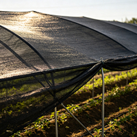 Filet d'ombrage noir tricoté pour serres agricoles et élevage