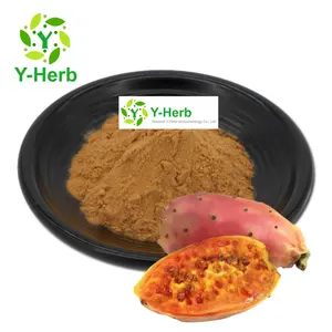 Bulk Organic 10:1 20:1 Prickly Pear Cactus Extract Powder/Prickly Pear Extract