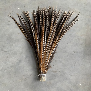 Plumas Naturales Marrones de Cola Larga, <span class=keywords><strong>Pluma</strong></span> Artificial de Faisán para Fiestas, Carnaval, Decoración del Hogar, Bodas, Jarrones, Manualidades, Disfraces - Product Image 4