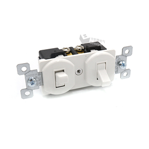 15A 120V Bosslyn US Standard appareils ménagers unipolaire Double interrupteur à bascule - Product Image 5