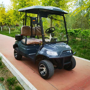 Voiturette de golf 2 places Premium 2025-Offre à durée limitée - Product Image 2