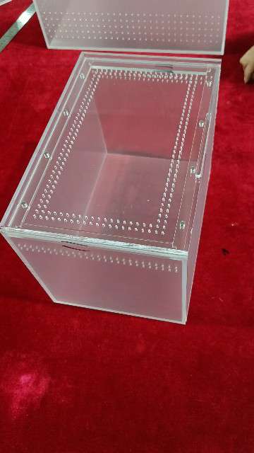 iguana vertical enclosure large