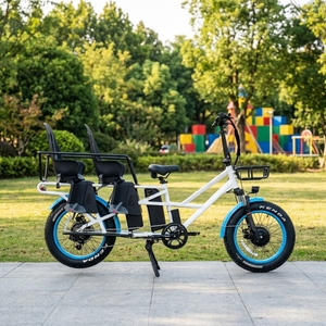Vélo électrique à pneus larges 48V avec double batterie au lithium, double moteur, longue autonomie, homologué ODM Chine, avec sièges pour bébé - Product Image 1