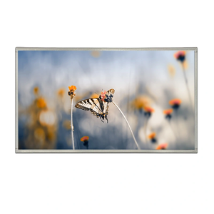 Panel LCD TFT IPS de 32 Pulgadas 1080P, 1920*1080 HD, Interfaz LVDS, 1000 Nits - Product Image 3