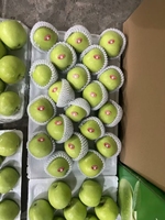 Graines de lotus fraîches du Vietnam, achat en gros, prix compétitifs, exportation en gros, produit agricole