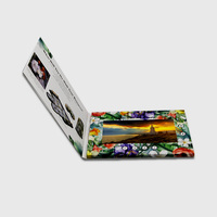Brochure Video LCD