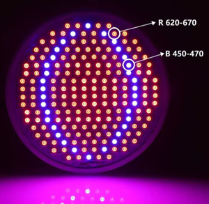 Lampe de croissance pour plantes hydroponiques, idéale pour la culture intérieure des fleurs et des bourgeons, appareil de beauté domestique - Product Image 2