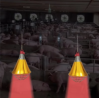 Lampe chauffante infrarouge halogène antidéflagrante 300W IP65 étanche 110V AC pour éleveuse, lumière chaude pour poulets et chiens