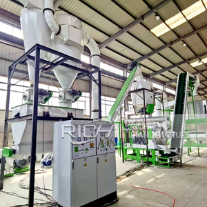 Presse à granulés d'aliments pour animaux RICHI - Machine à granulés d'aliments pour bovins à faible consommation d'énergie 3-4t/h - Coût de la usine de production d'aliments pour bovins - Product Image 5